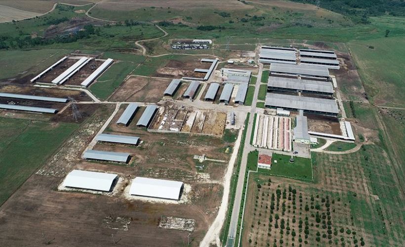 TİGEM, Trakya'nın tarım ve hayvancılığına büyük katkı sağlıyor