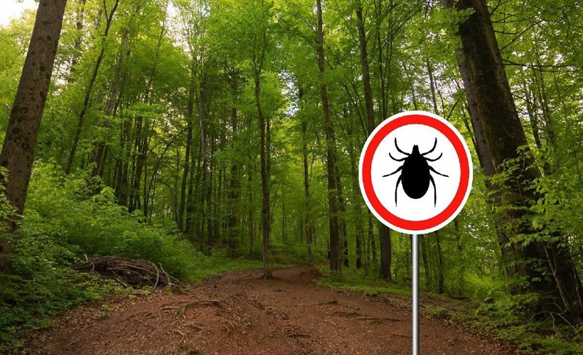 'KKKA vakaları azalma eğilimine girdi'