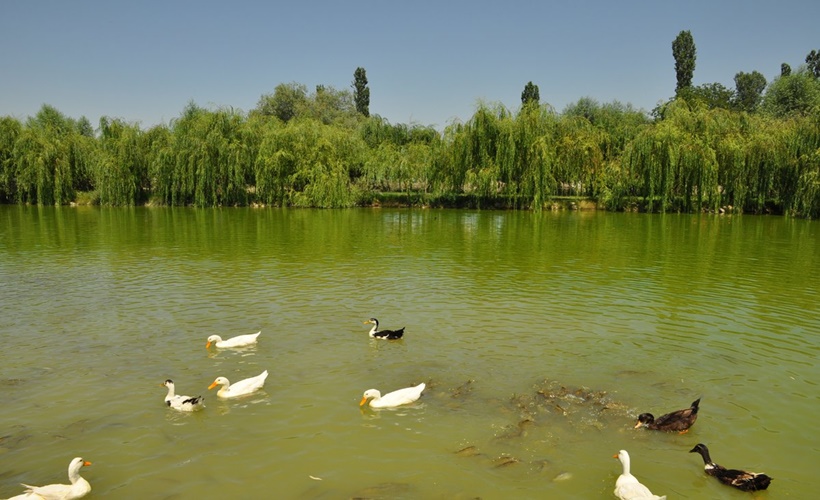 Afyon'un sembollerinden Balıklı Göl