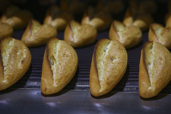 Ankara Halk Ekmek'ten fiyat artırımı açıklaması