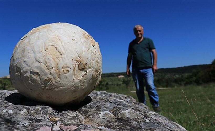 Futbol topu sandı, 5 kilogram ağırlığında mantar çıktı