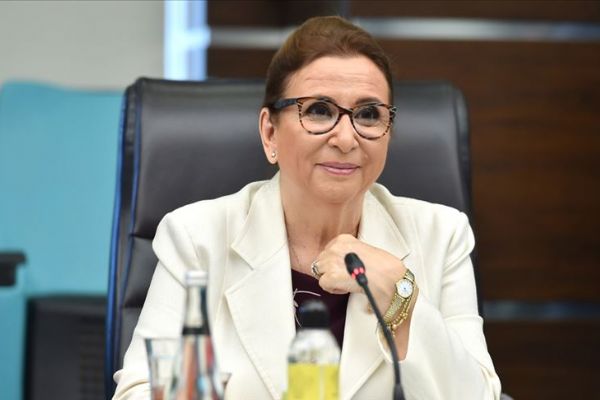 Bakan Pekcan'dan 'Gümrük Birliği' mesajları