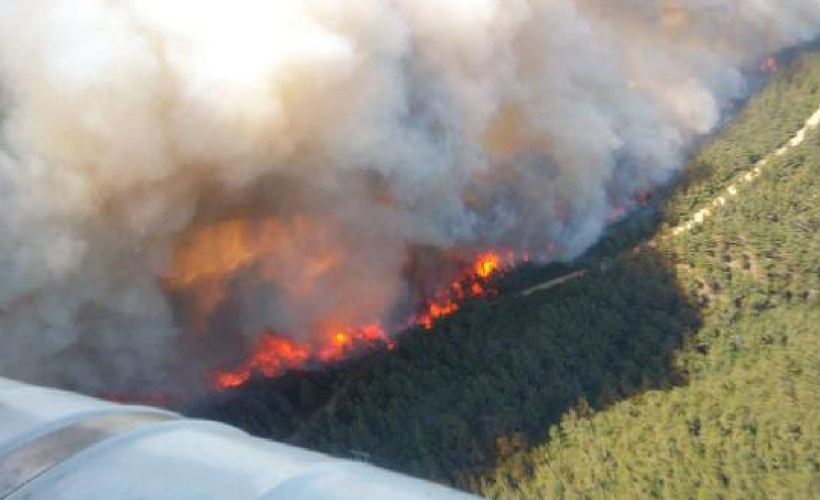 Gelibolu Yarımadası'ndaki orman yangını sürüyor