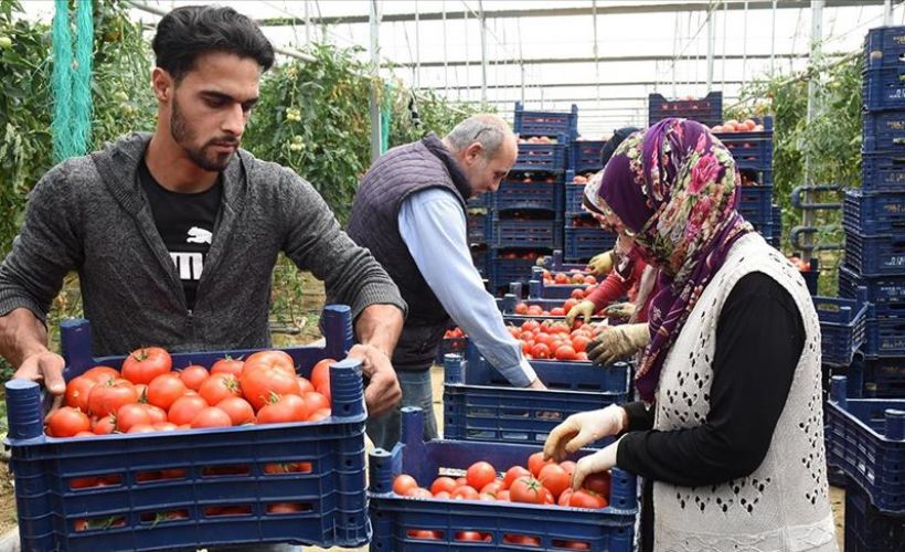 Devletten destek aldı üretimini 17 kat artırdı