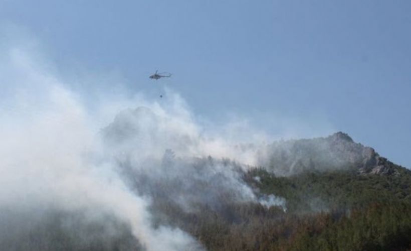 Aydın'da Yıldırım düştü, orman alev aldı