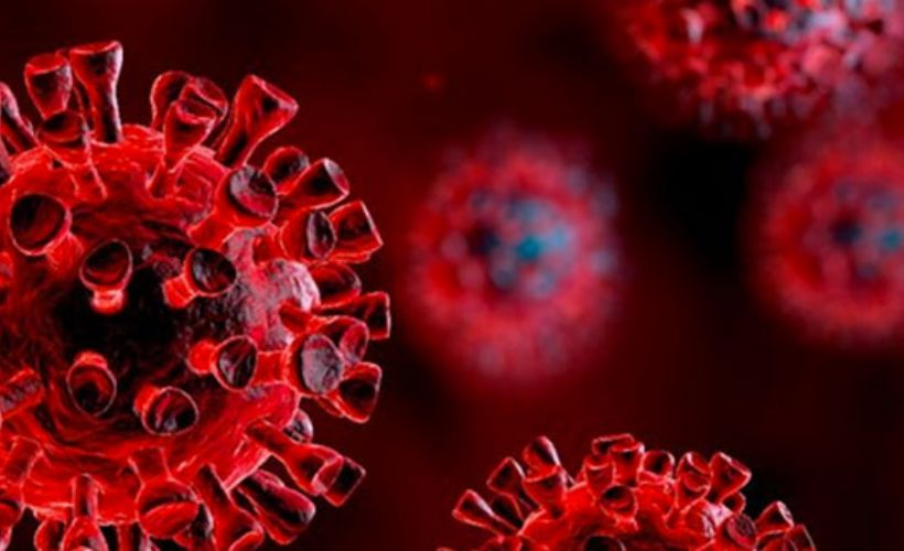 Fransa'da virüsten ölenlerin sayısı 30 bine yaklaştı