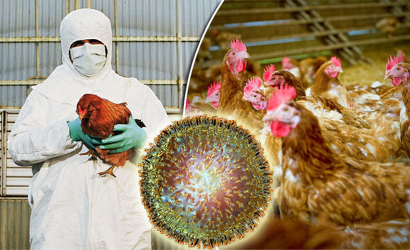 Rus Doktor: Çin'den gelebilecek çok daha ölümcül virüsler kapıda