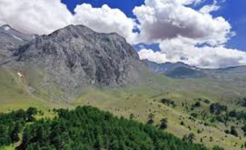 Konya'nın ‘yayla cenneti’ Anamas Dağı