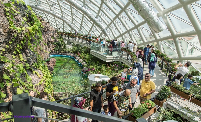 Tropikal Kelebek'ler ziyaretçi bekliyor