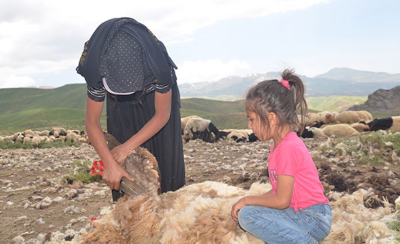 22 yaşındaki Zeynep çobanlık yapıyor