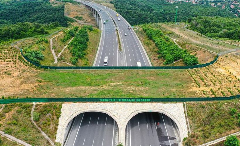 Türkiye'de yaban hayvanlarının güvenli geçiş rotası: Ekolojik köprüler