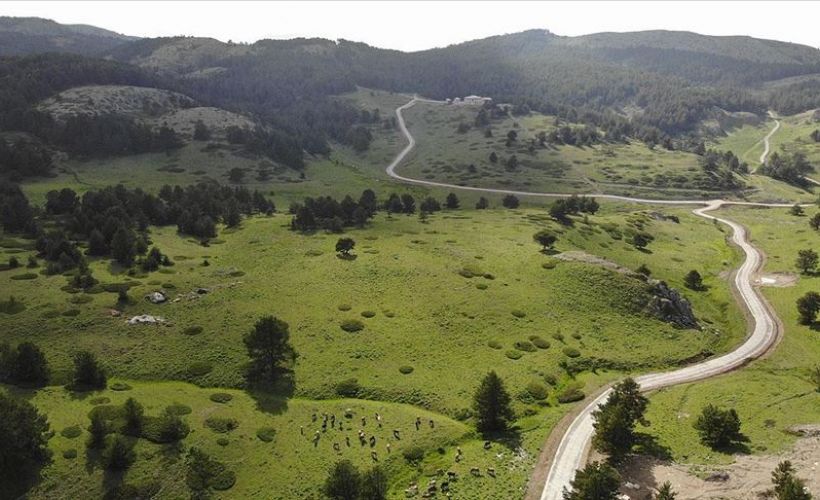 Dumanlı Yaylası izole piknik imkanı sunuyor