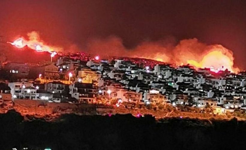 İzmir'de makilik alanda yangın