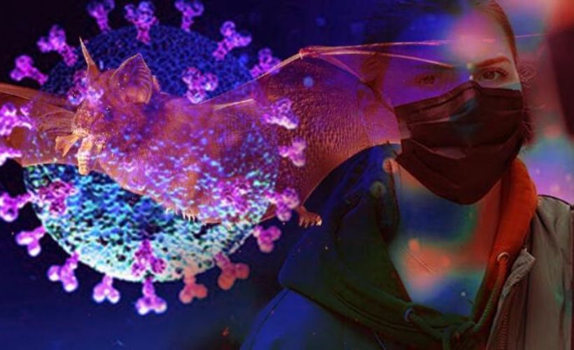 Korona virüs de son durum ne? 15 Temmuz 2020 korona