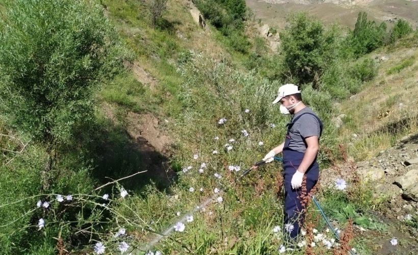 Hakkari Belediyesinden larvasit ilaçlama çalışması