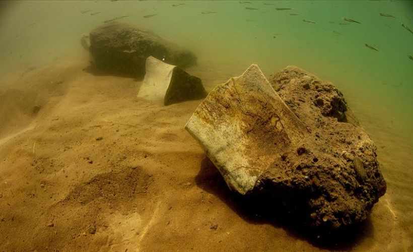 Fillerin atasının 7,5 milyon yıllık fosili su altında görüntülendi