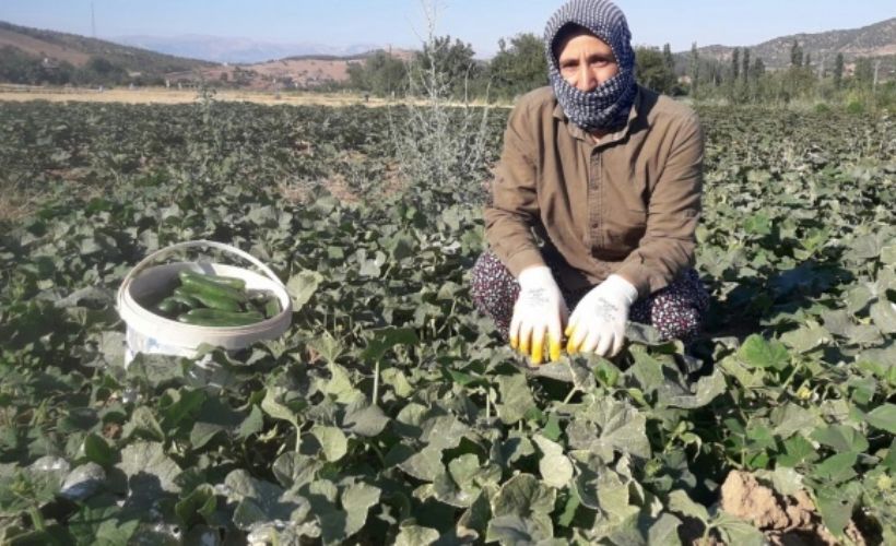 Ev hanımlığından üreticiliğe geçiş