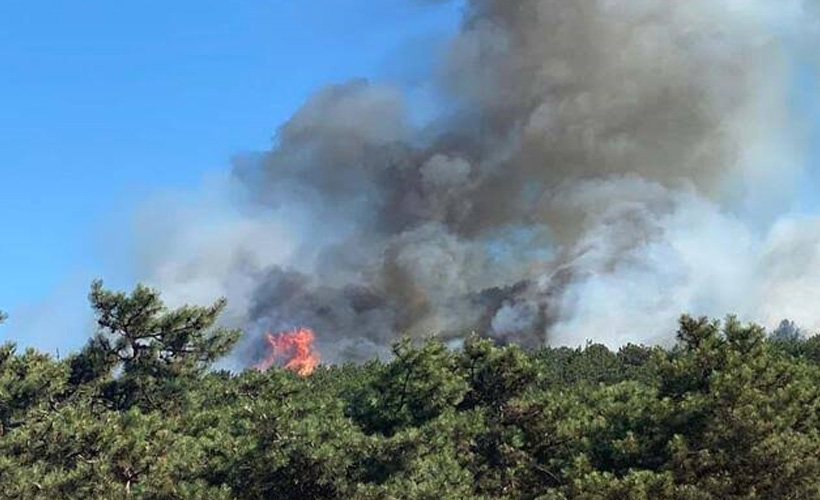 Çanakkale'de orman yangını