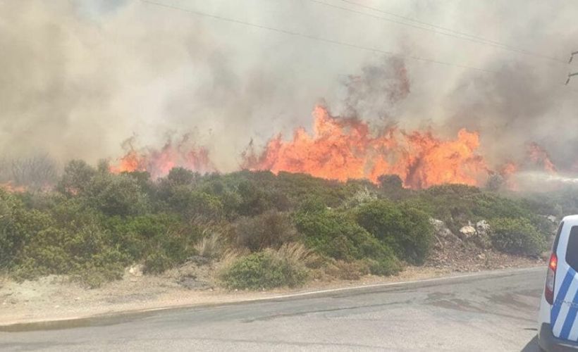 İzmir'de makilik ve ormanlık alanda çıkan yangın kontrol altına alındı