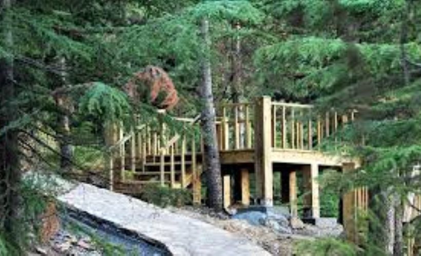 Doğaseverlerin huzur bulduğu adres: Yavşan Yaylası