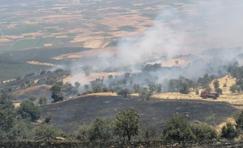 Gaziantep'te ormanlık alanda yangın çıktı