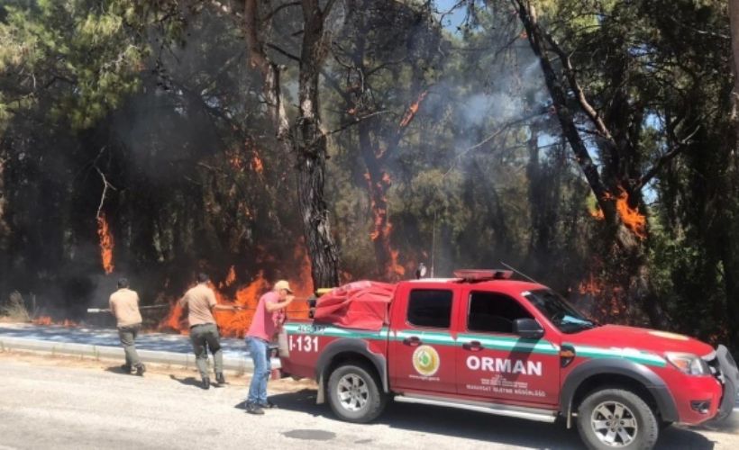 Antalya'da bir araçtan atılan sigara izmariti orman yangınına sebep oldu