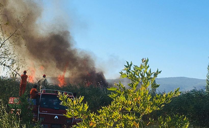 Bursa'daki yangın rüzgarın etkisiyle büyümeye devam ediyor