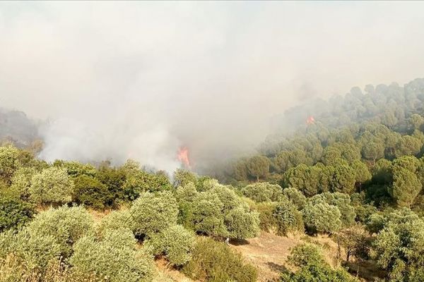 İzmir'deki orman yangını kontrol altına alındı