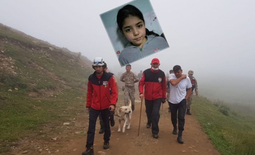 Yaylada kaybolan 11 yaşındaki Elif her yerde aranıyor