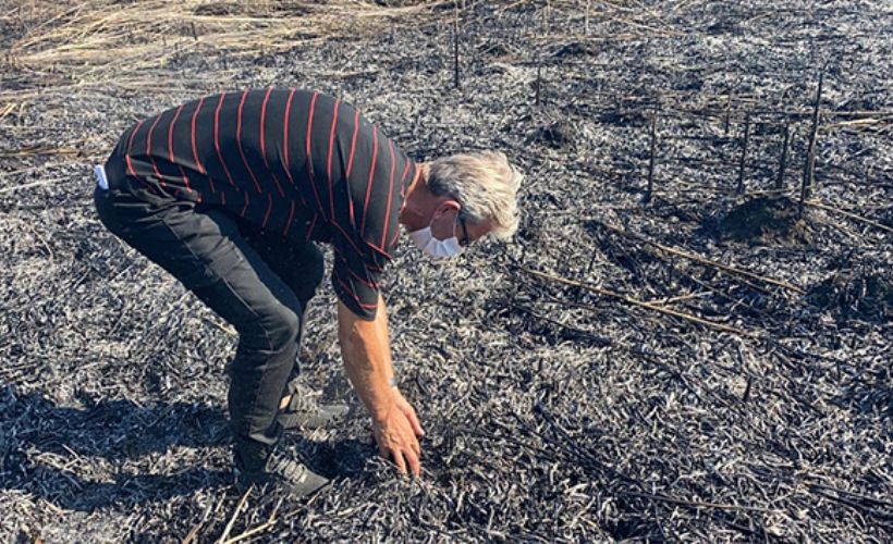 Sazlıkta çıkan yangında 60 dönümlük alan kül oldu