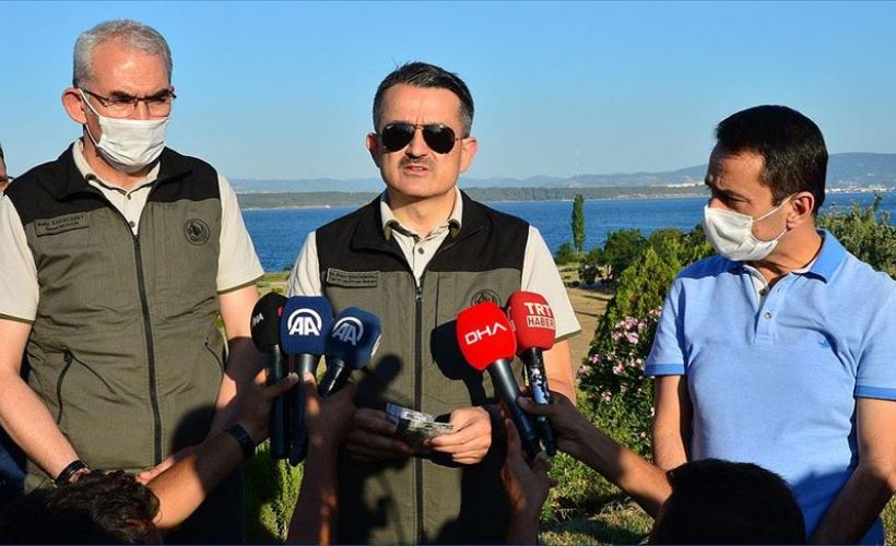 Bakan Pakdemirli: Tüm orman yangınları kontrol altında