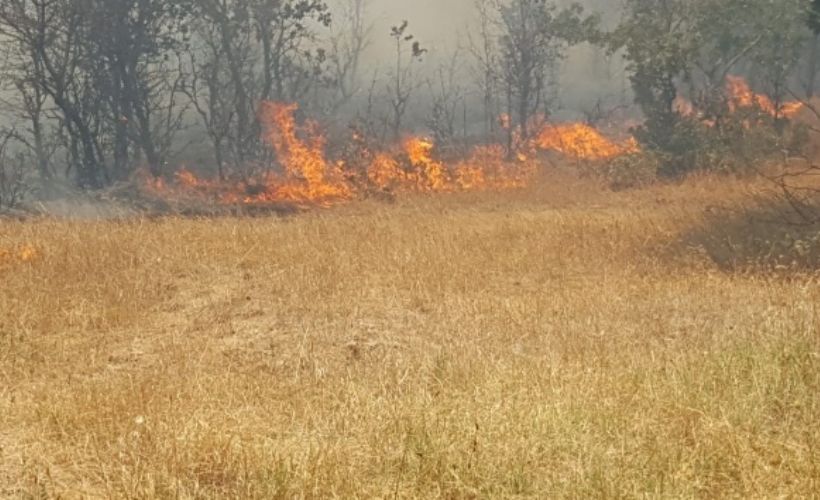 Çanakkale'de korkutan yangın