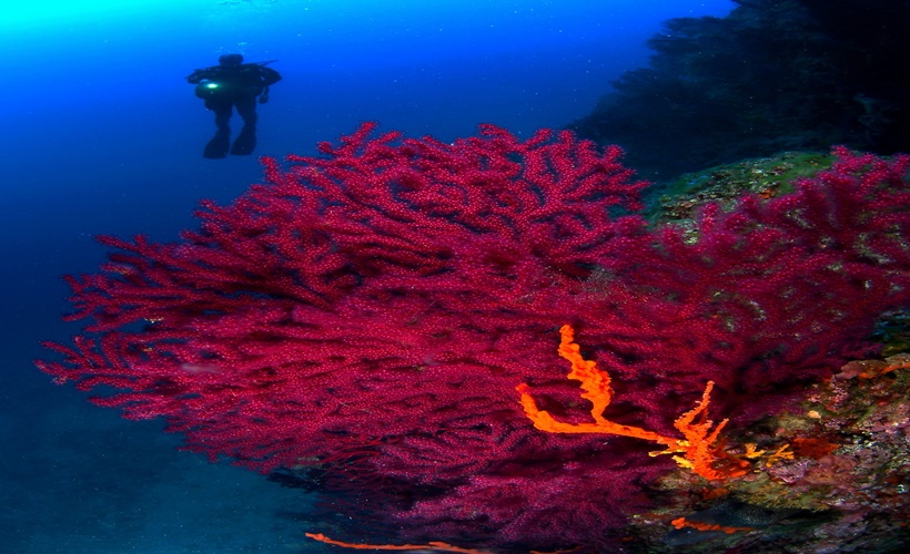 Rotanızı Balıkesir'e çevirebilirsiniz