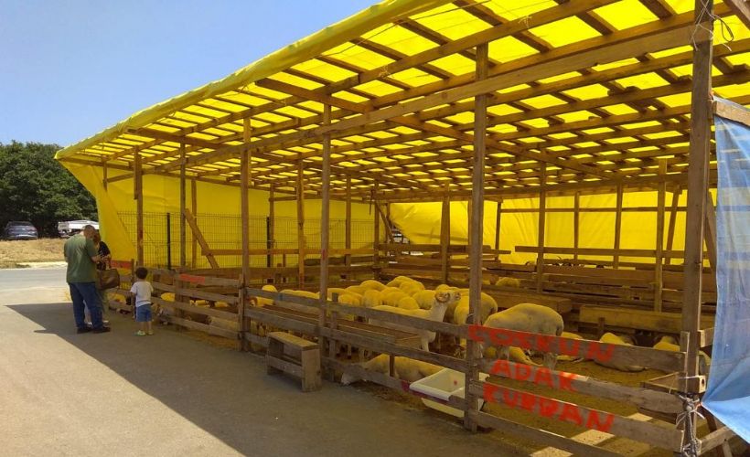 İBB Kurban bayramına hazır