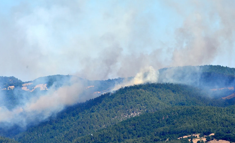 Çanakkale'de orman yangını
