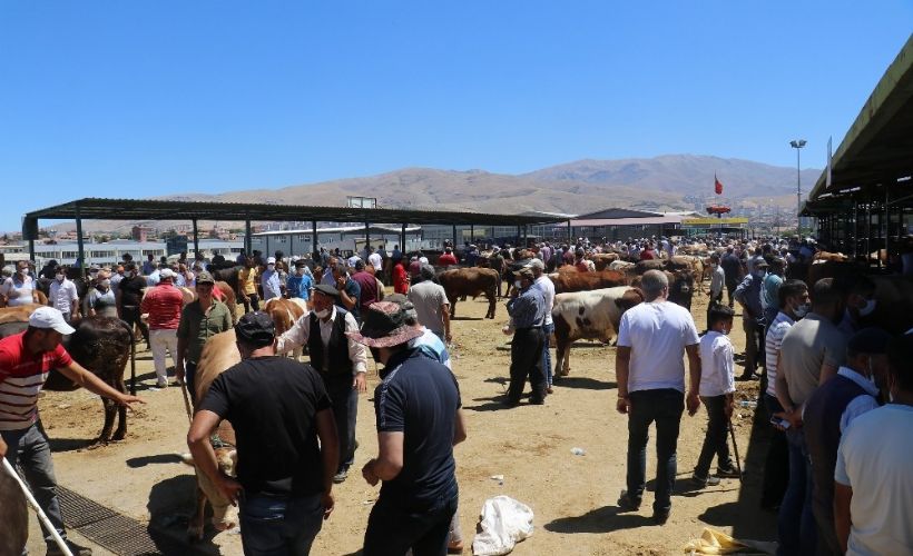 Malatya Canlı Hayvan Pazarı'nda Arefe günü yoğunluğu