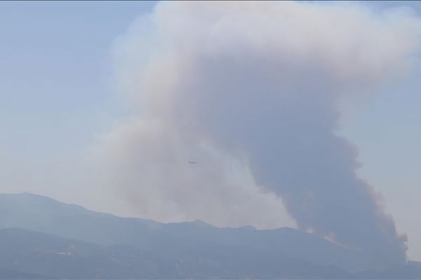 İzmir'de çıkan orman yangını kontrol altına alındı