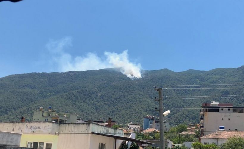 Aydın'da orman yangını