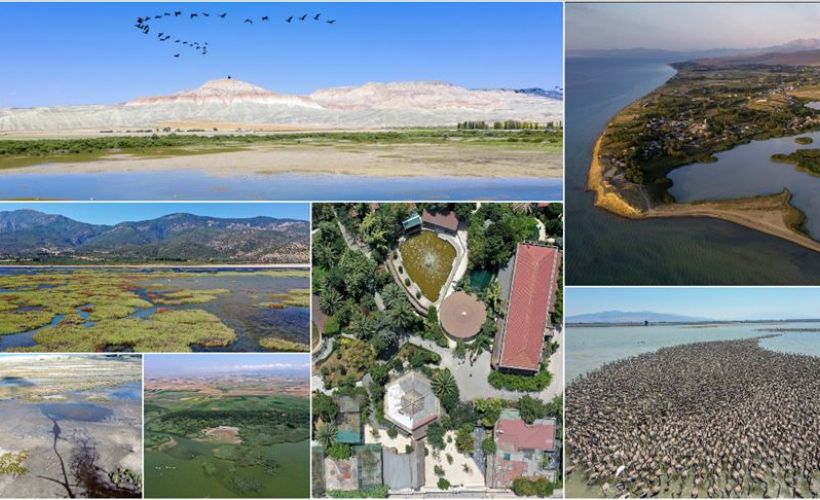 Türkiye'nin büyüleyen güzelliği: Kuş cennetleri