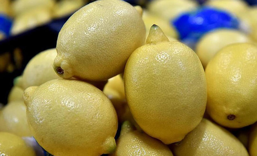 Limon ihracatında önemli karar