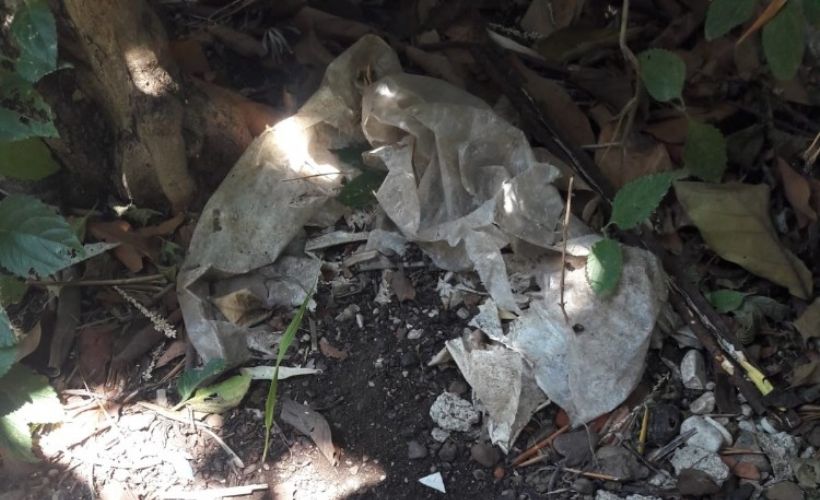 Fethiye�de kafası demir boruya sıkışan yavru kedi kurtarıldı Timeturk