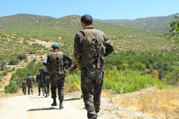 Şırnak'ta 5 PKK'lı etkisiz öldürüldü