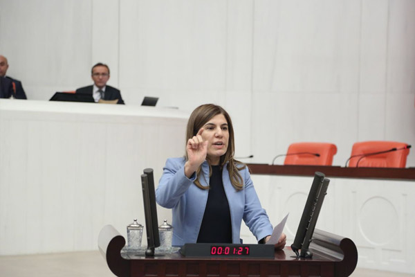 İnceöz: Almanya'nın kararı tarihe hakarettir