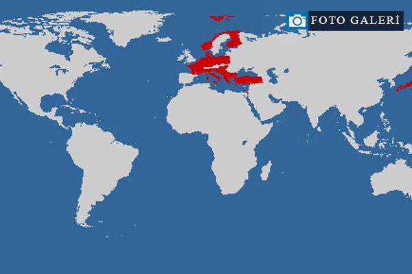 Sözde Ermeni Soykırımı'nı kabul eden ülkeler