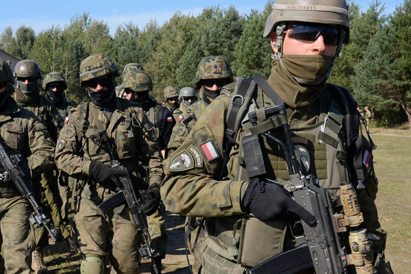 Polonya'dan Rusya'ya karşı 'Paramilis gücü'