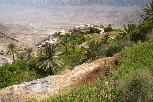 Orucun süresi 3,5 saat