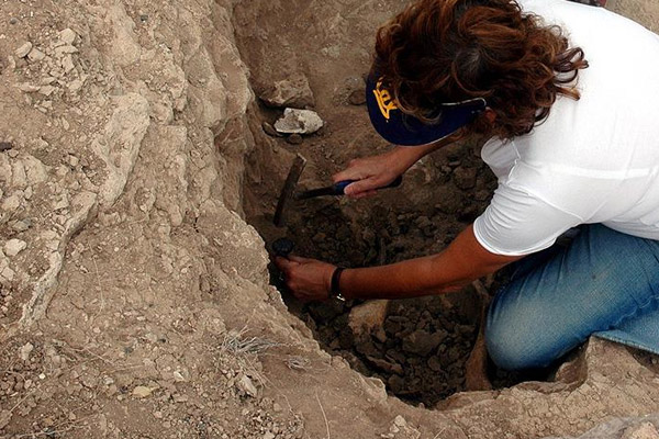 Hobbitlerle ilgili yeni bulgulara ulaşıldı
