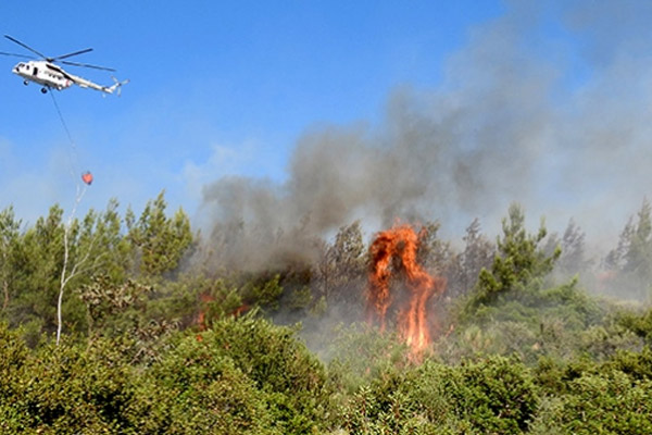Muğla'da orman yangını
