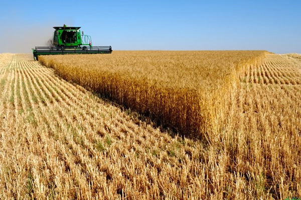 Bakanlık'tan tarıma destek!