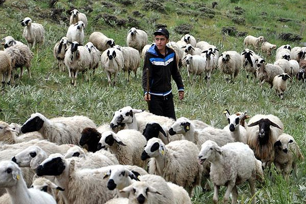 TEOG'daki başarısının sırrı kitap okumak